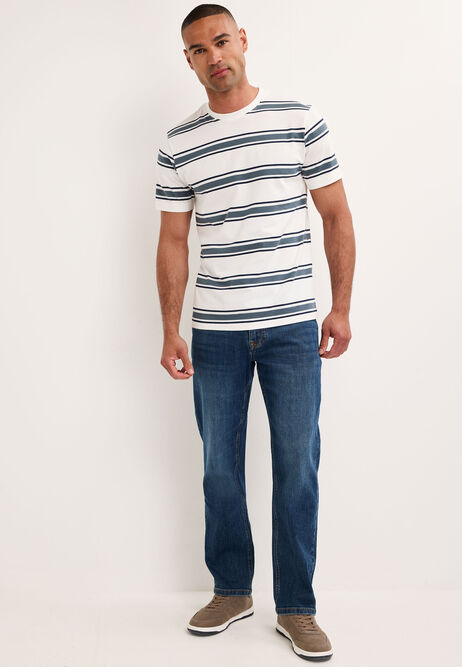 Mens Blue Stripe Cotton T-Shirt