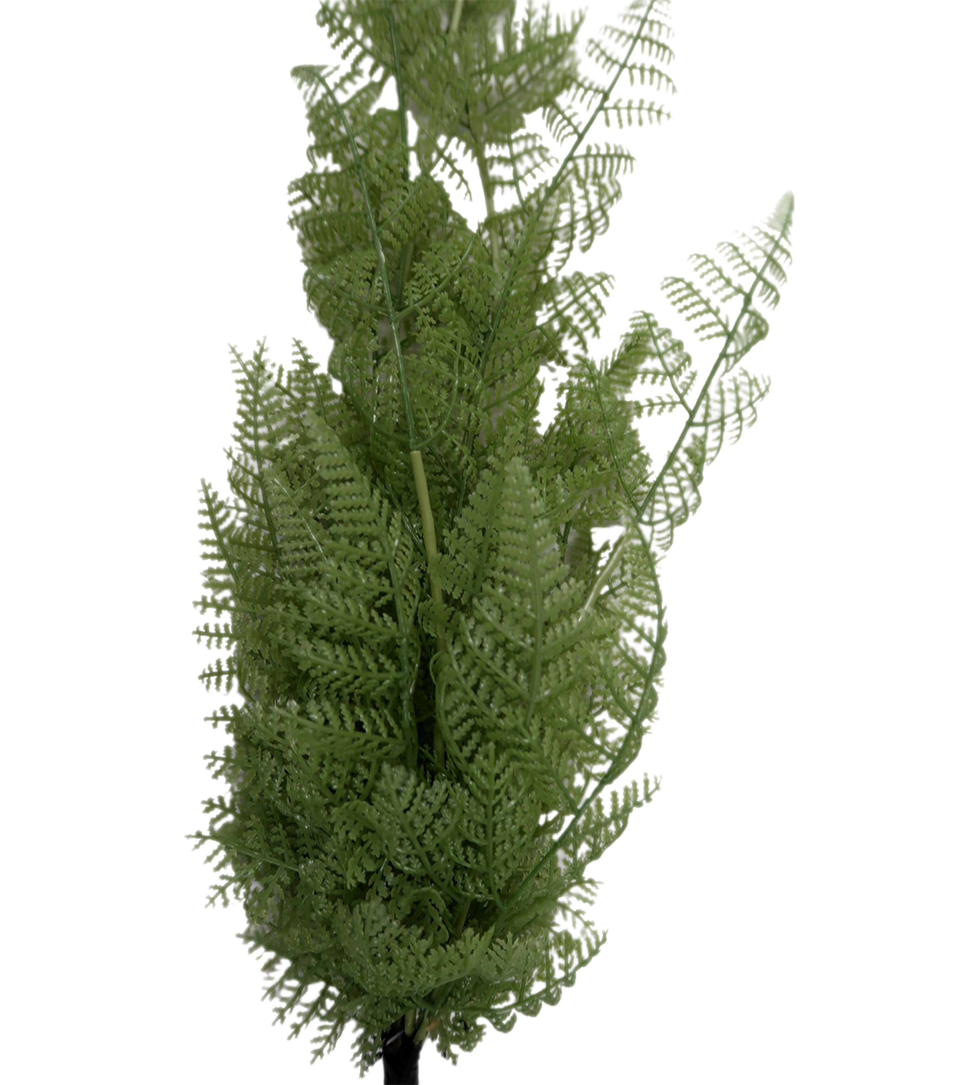 33 Hanging Fern Bush by Bloom Room