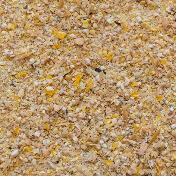 Ergänzungsfuttermittel, Legemehl, Geeignet für: Hühner