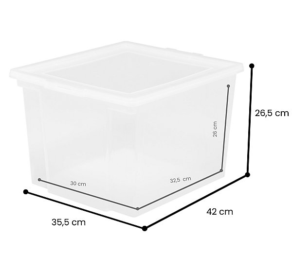 Iris Ohyama, Boites de Rangement Polyvalente, 30L, Lot de 6, Transparent, USB-M