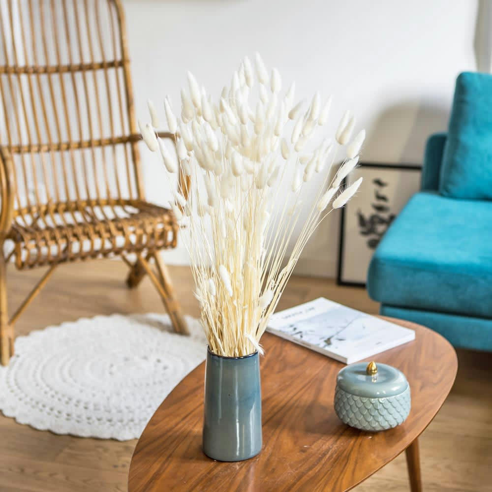 LAGURUS - Botte de fleurs séchées lagurus ovatus blanc (env. 100 tiges)