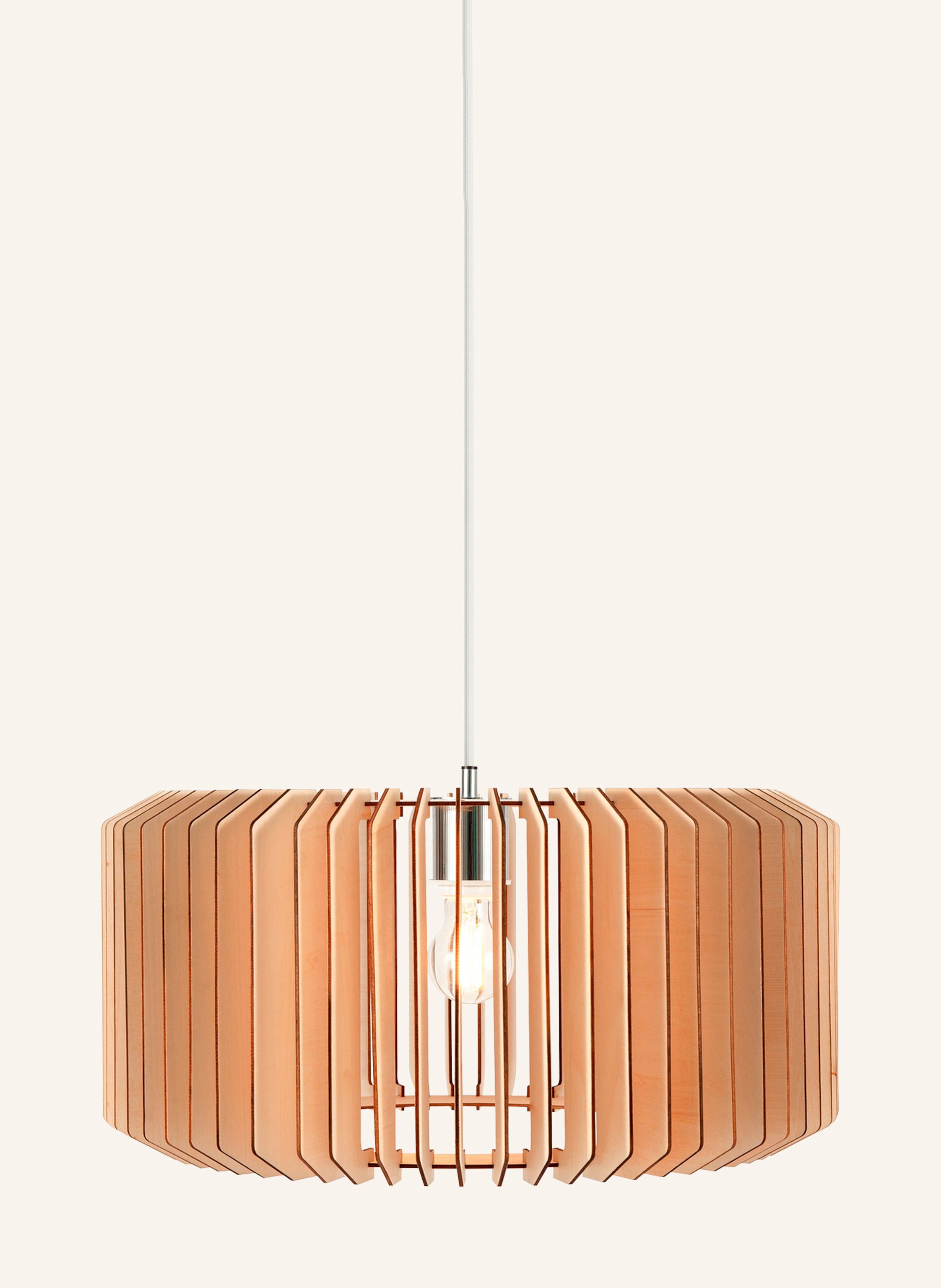 nordlux Pendelleuchte ASTI 50