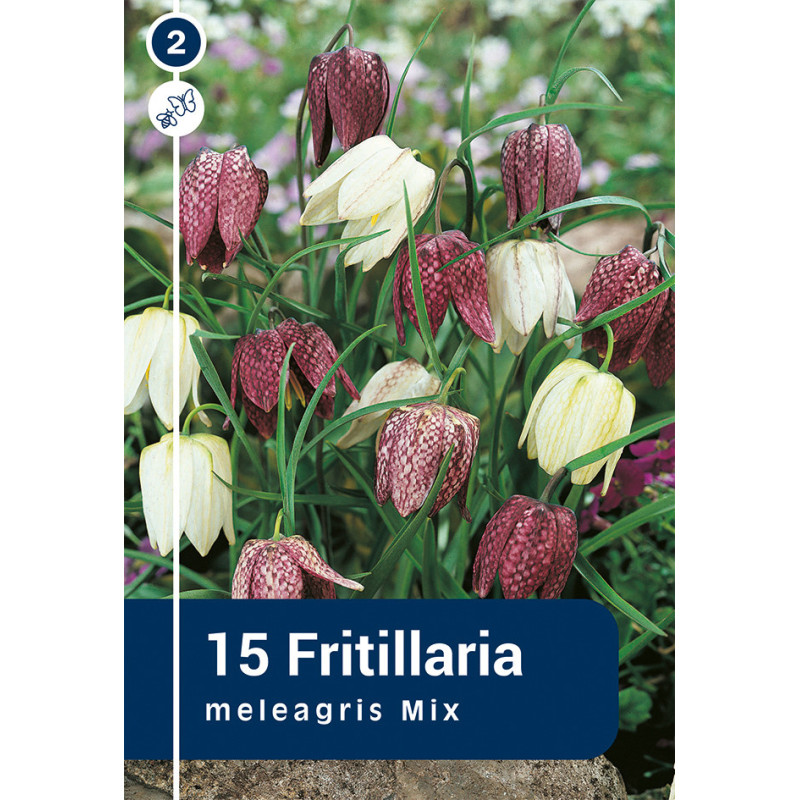 Bulbes de Fritillaria Meleagris Mix 15 pièces