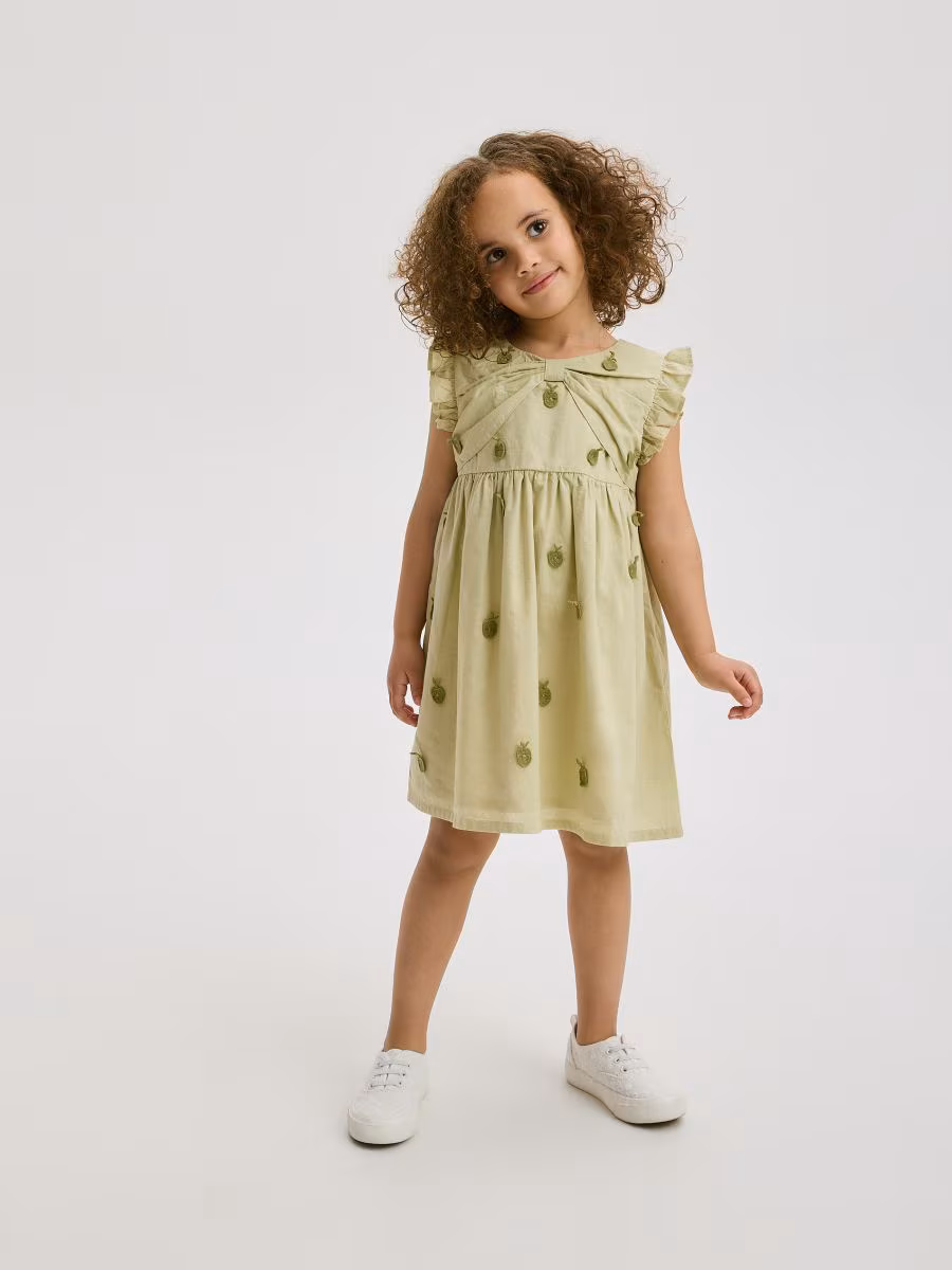 Ladies Dress
