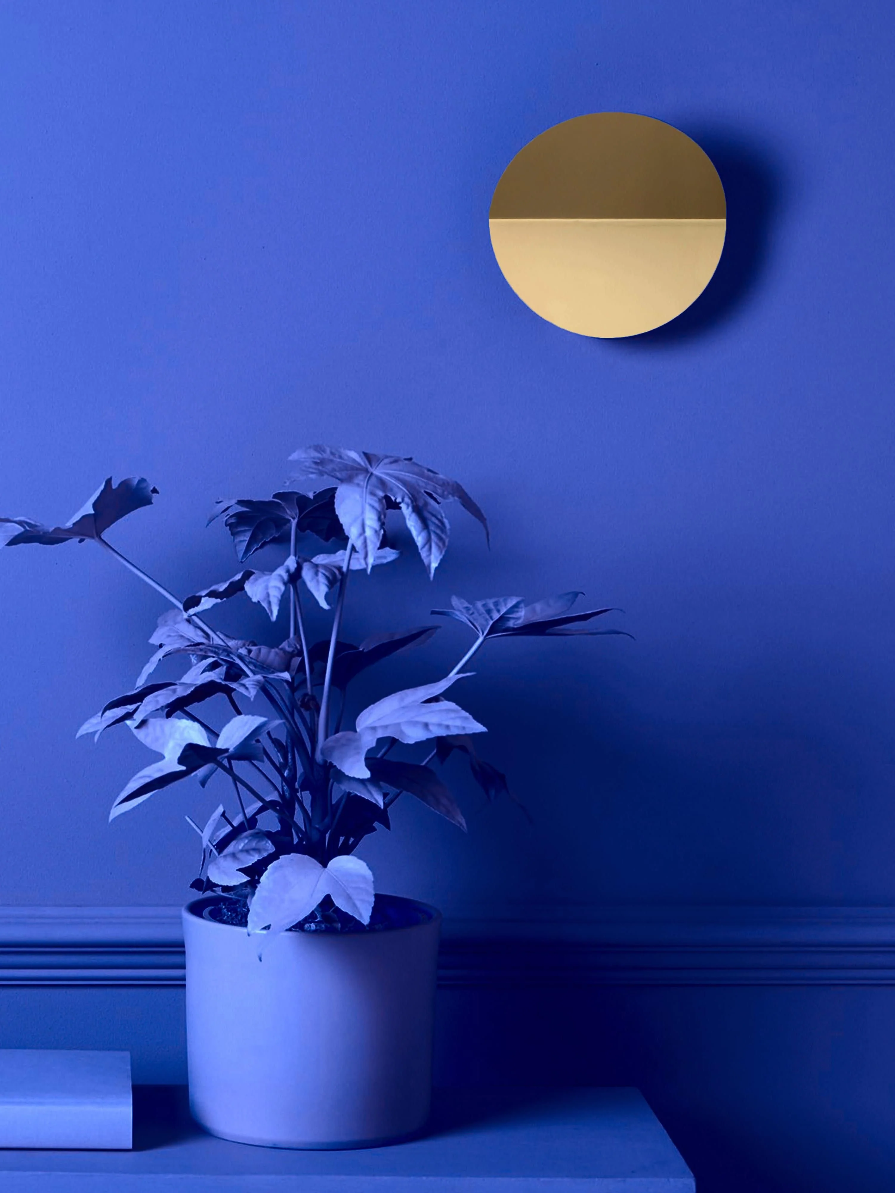 LED-Wandleuchte Ring