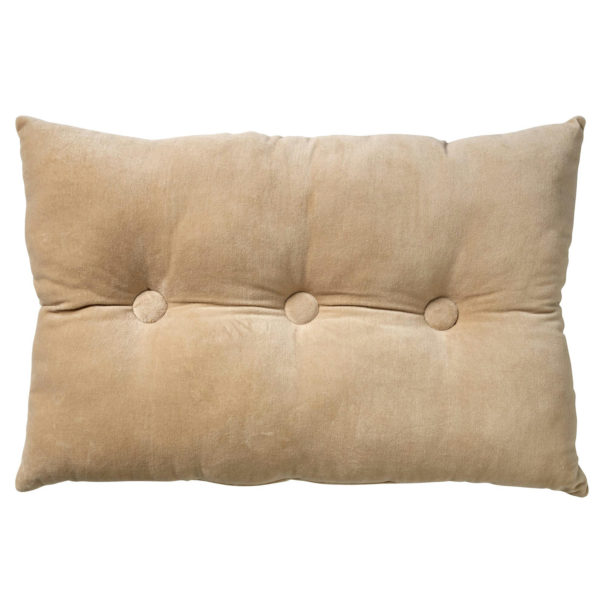 VALERIE - Coussin - beige en velours 40x60 cm uni