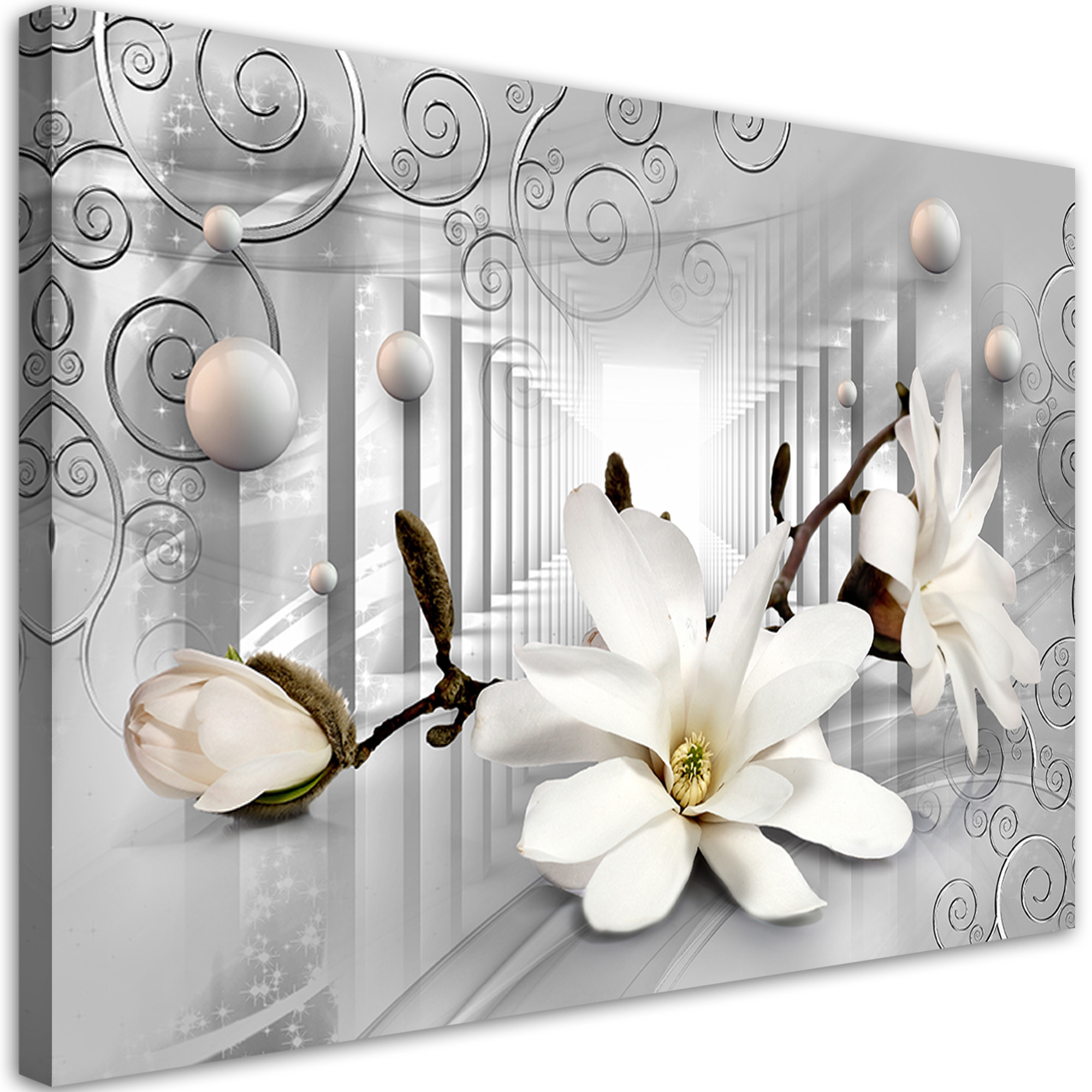 Feeby Obraz Kwiaty w tunelu i srebrne kule 3D 60x40