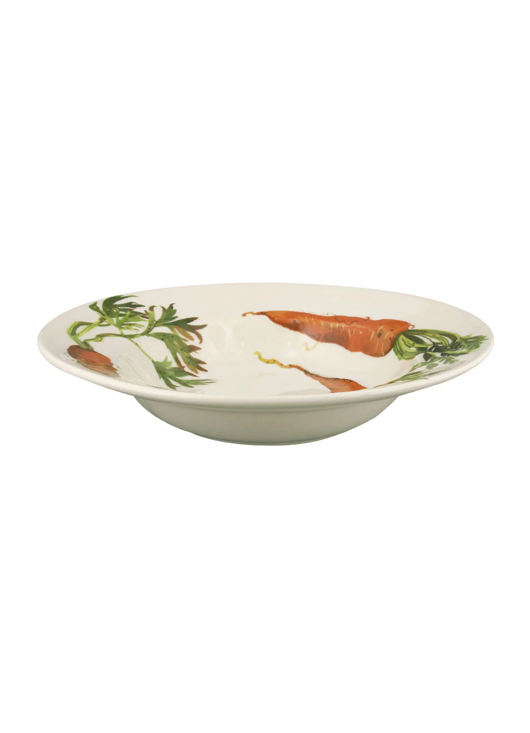 Seconds Vegetable Garden Carrots Soup Plate