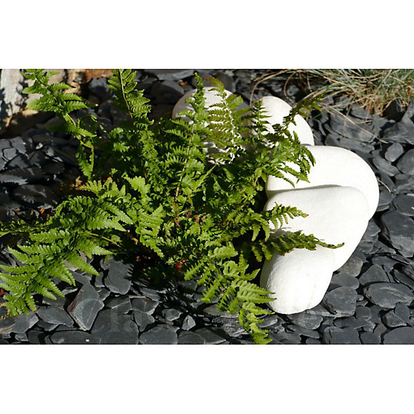 Gros Galet BLANC 100-200 - pack 10 Galet
