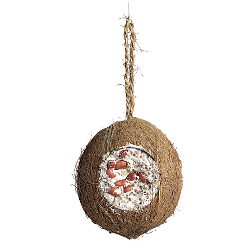 Kokosnöt hel talg frön 700g