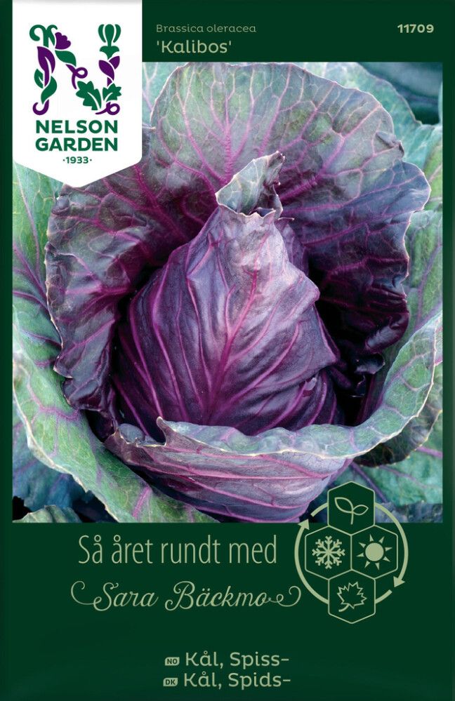 GRØNNSAKSFRØ NELSON GARDEN SPISSKÅL KALIBOS