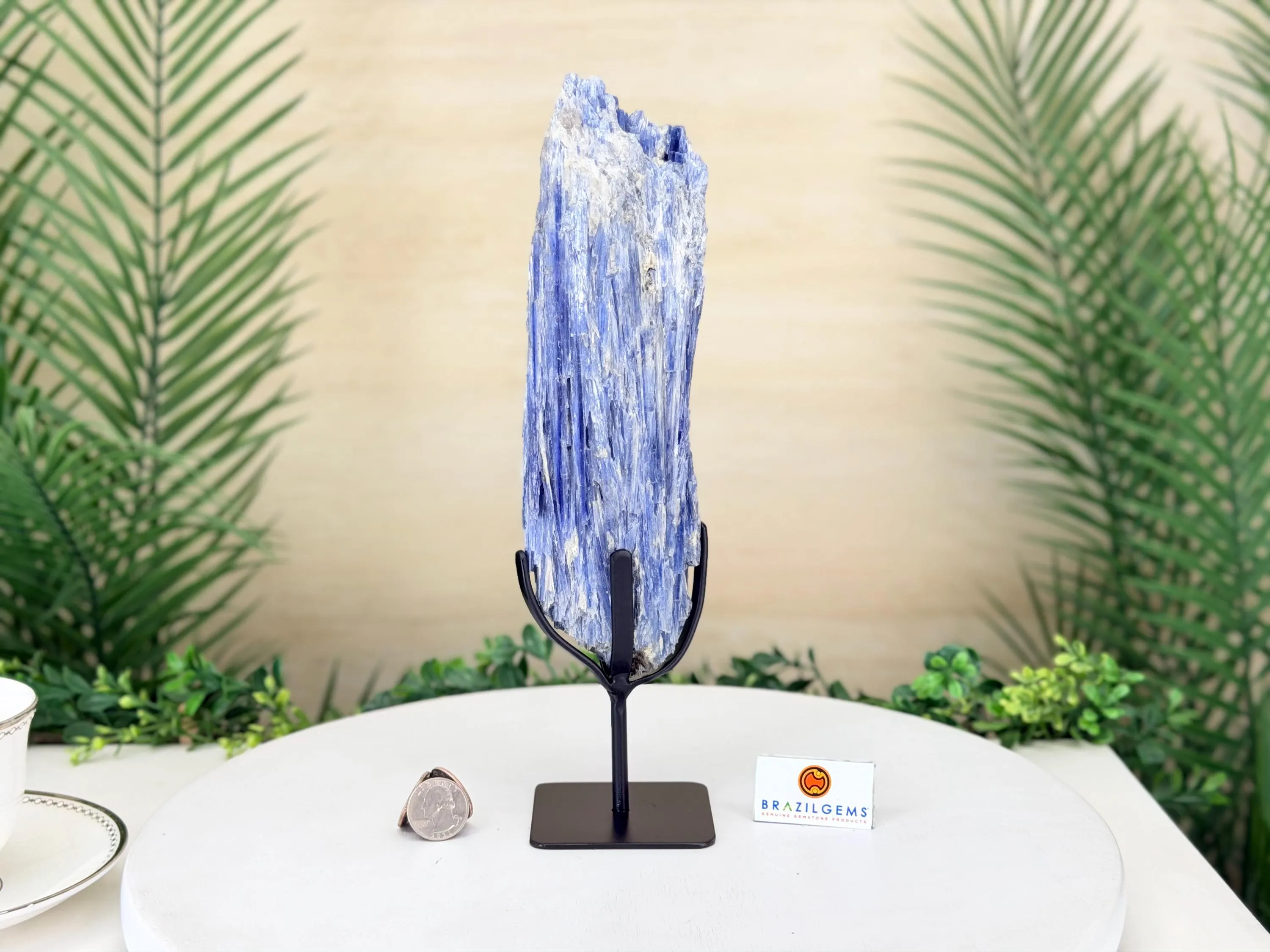 Kyanite Crystal on Stand, 3.6 lbs & 11.5 in Tall #6010-0047