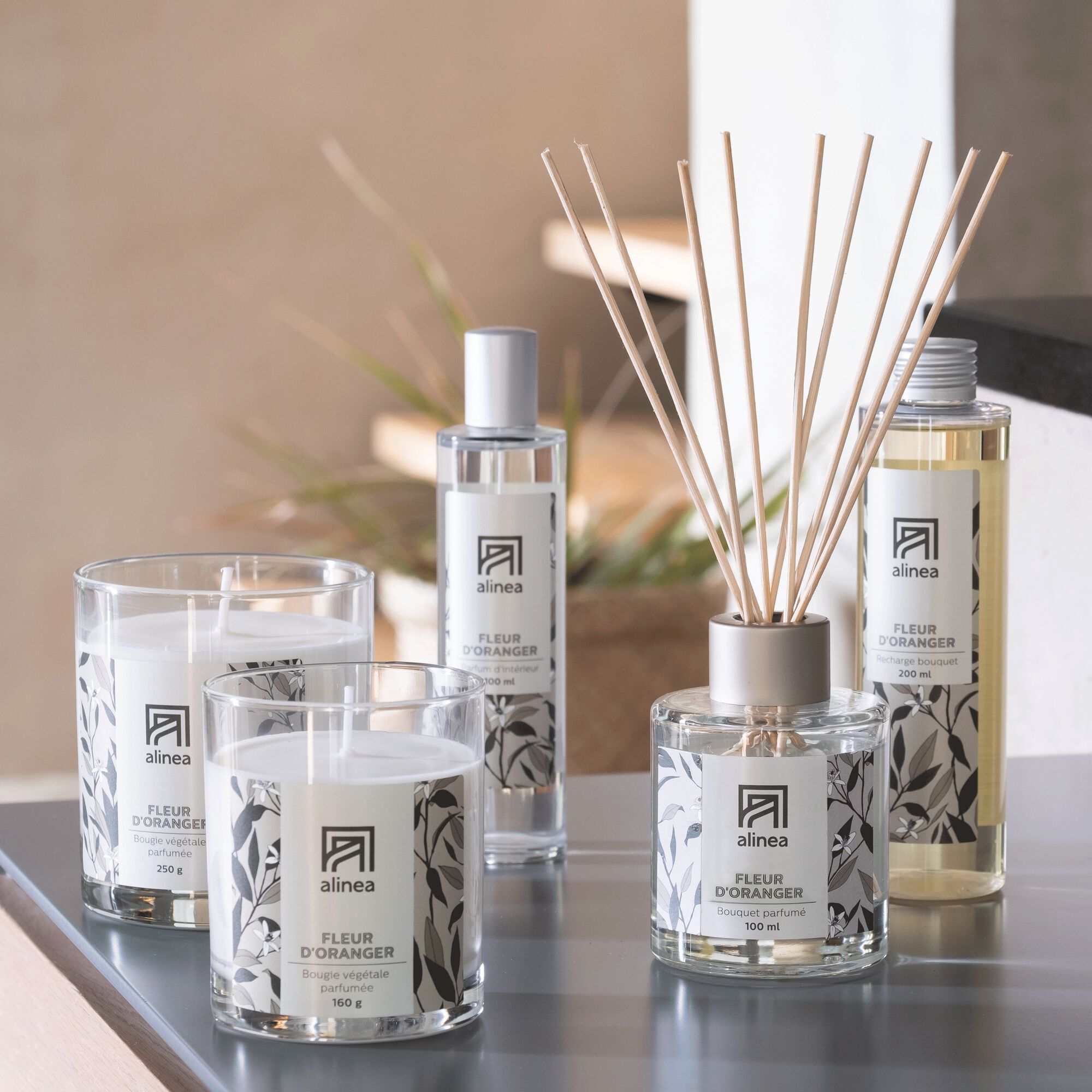 SIGNATURE - Diffuseur de parfum senteur Fleur d'oranger 100ml