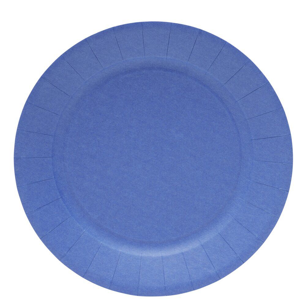 Lot de 10 assiettes en carton Ø23cm bleu nuit