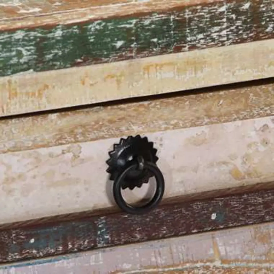 vidaXL - Wandtafel - Multikleur - Hout