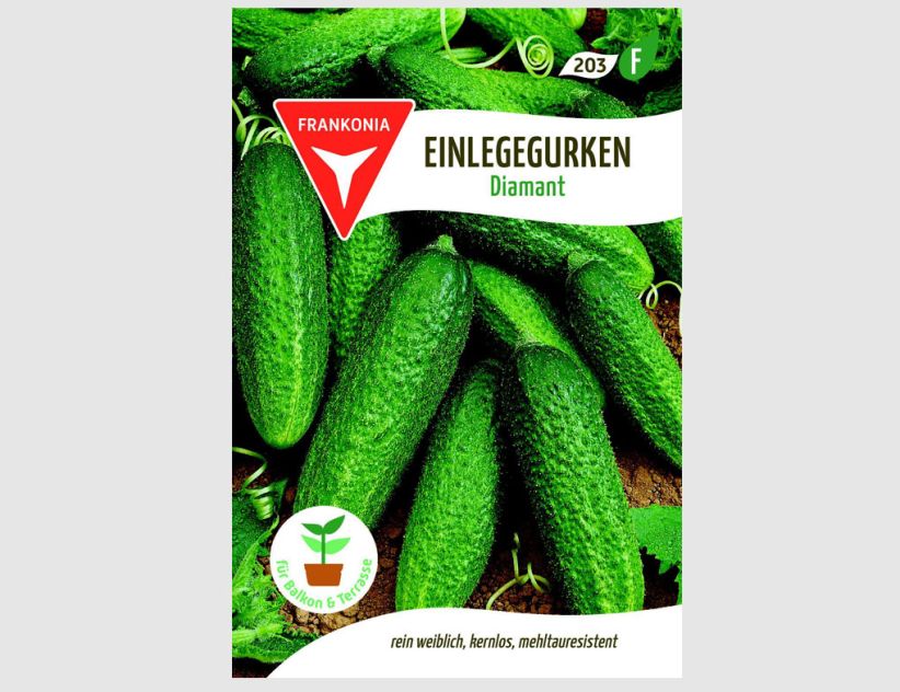 Einlegegurke Diamant