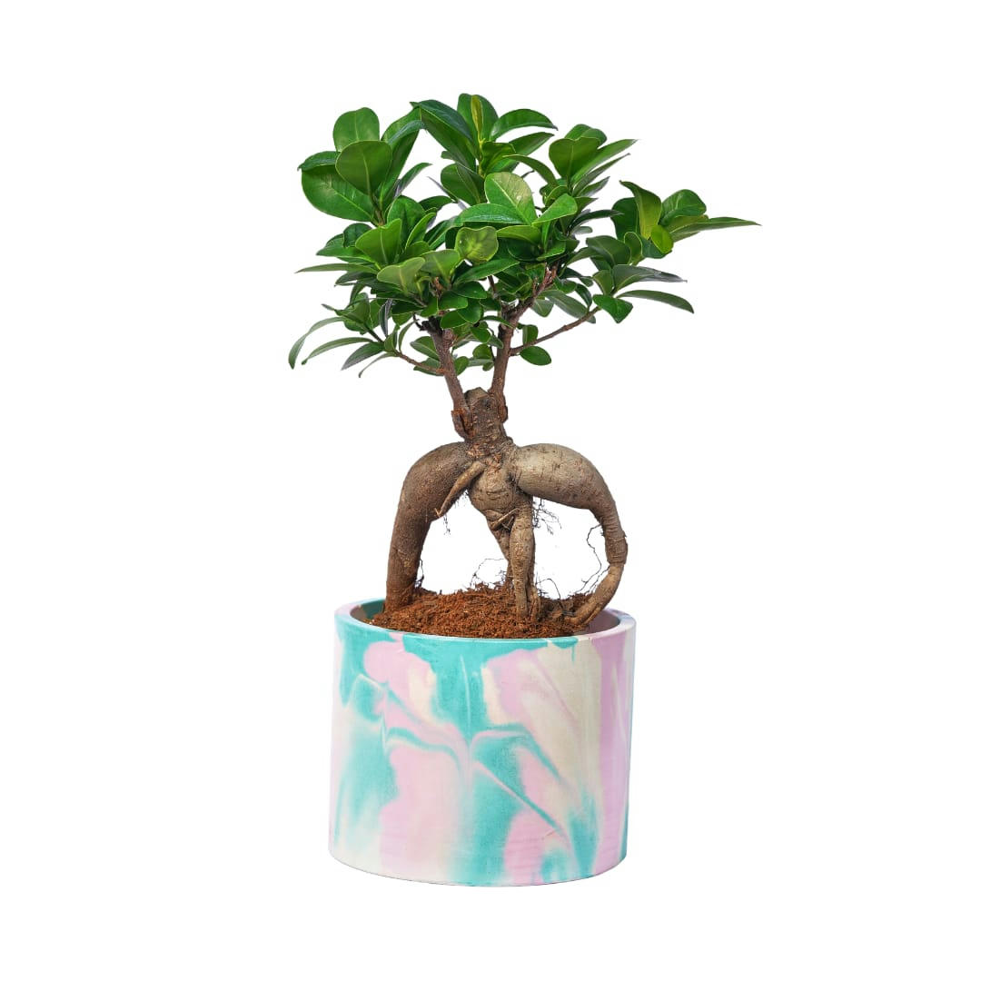 CACHE-POT XXL TIE&DYE - Cache-pot xxl tie&dye en béton rose et turquoise