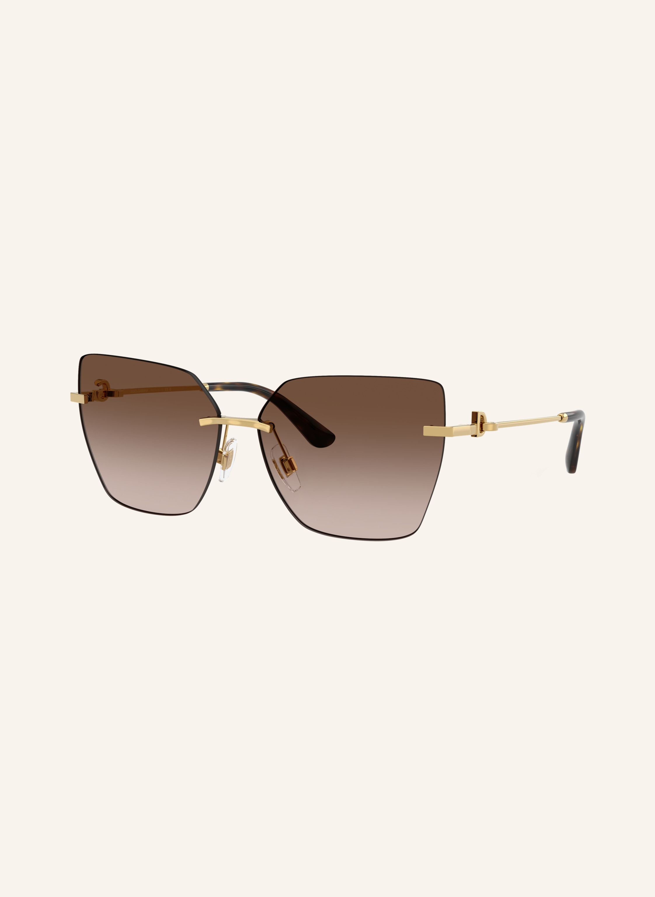 DOLCE & GABBANA Sonnenbrille DG2321