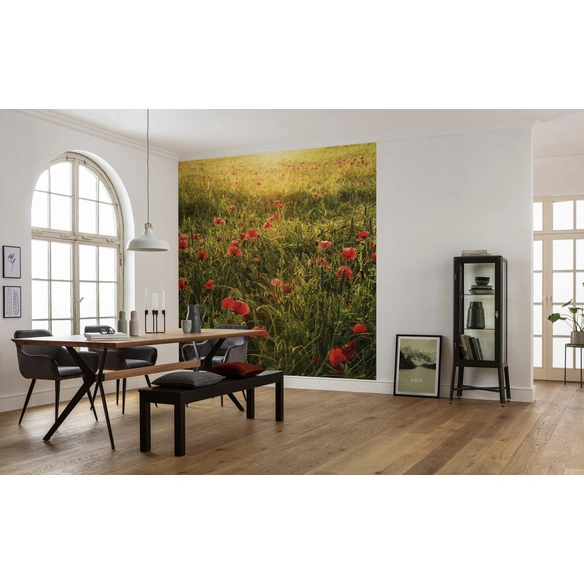 Vliestapete »Poppy World«, Breite 250 cm, seidenmatt