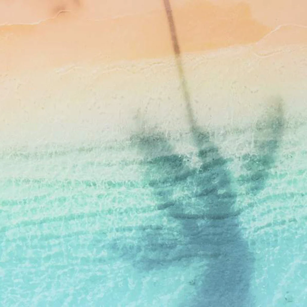 Quadro Vidro Palmeiras 150x100