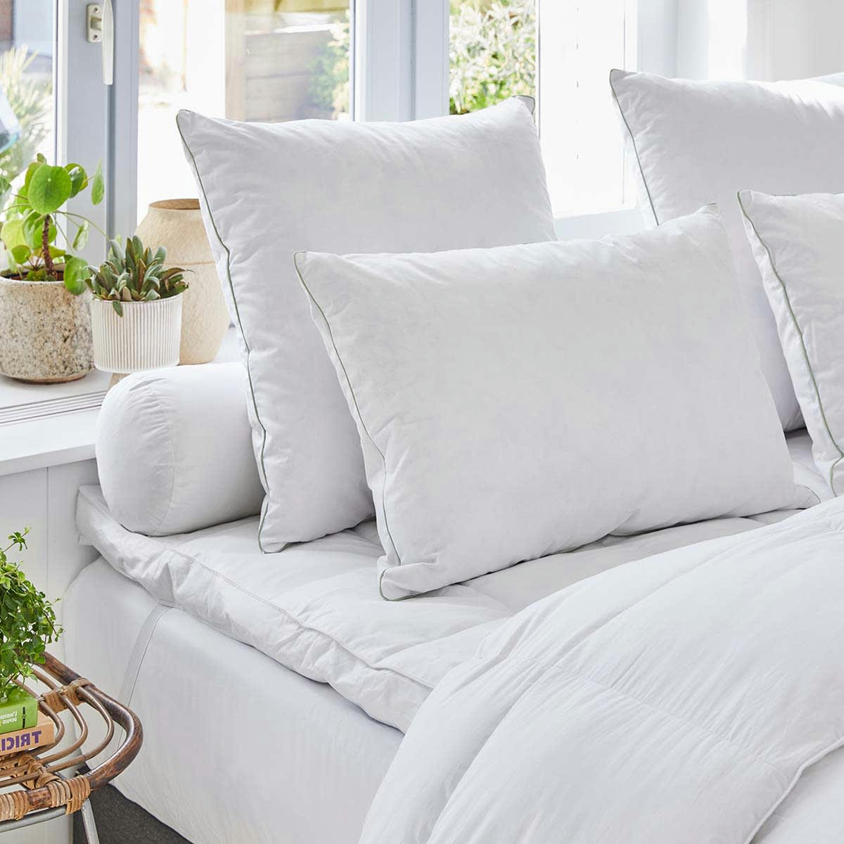 - Oreiller Moguilev  - 40% Duvet Canard blanc - MEDIUM 50x75 cm - Drouau