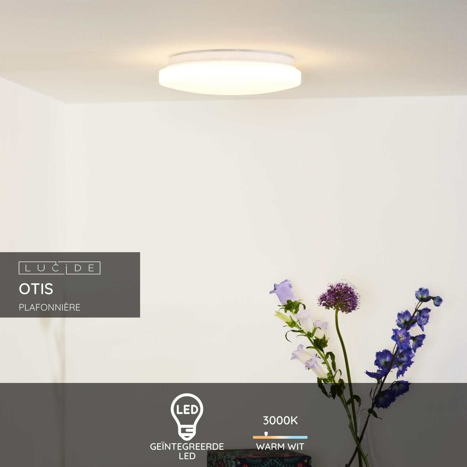 Lucide OTIS Plafonnière - Opaal