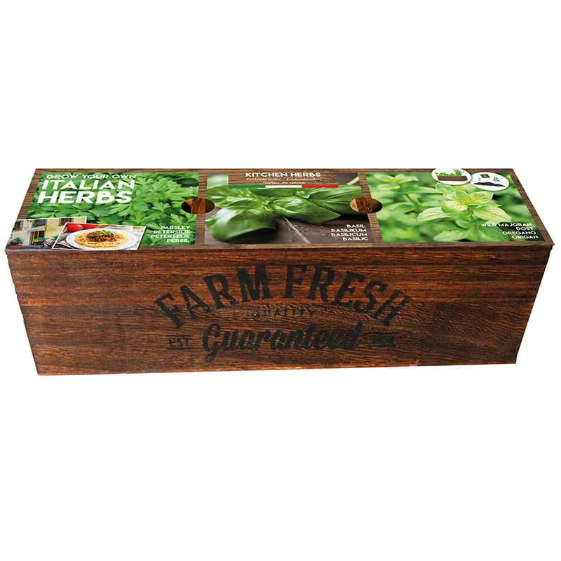 - Kit prêt à pousser - Herbes de cuisine Italiennes