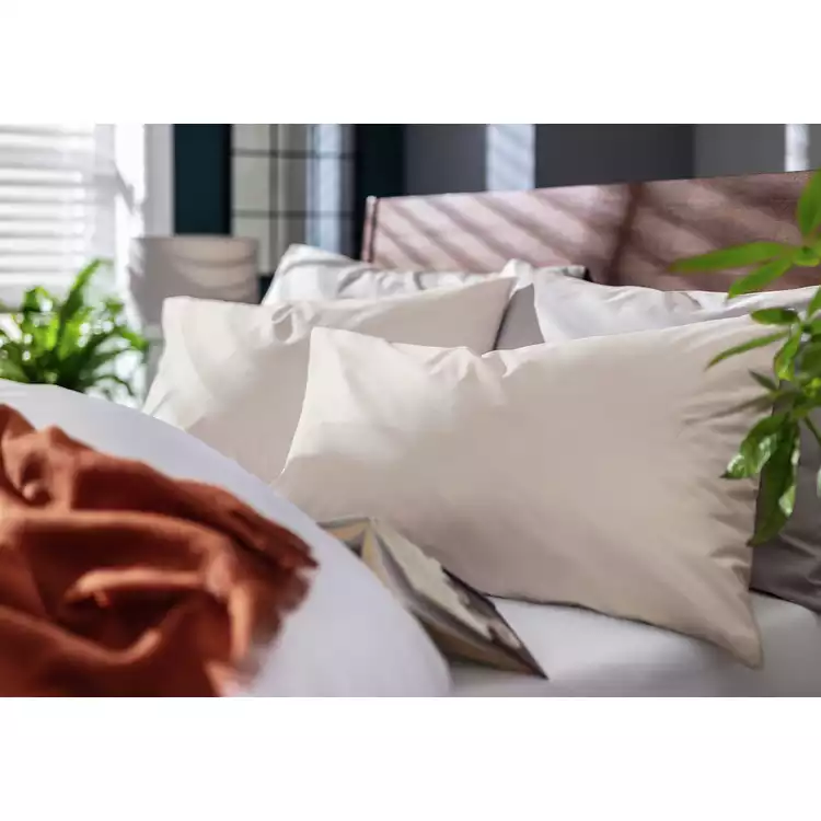 Habitat Cotton Rich 180TC Standard Pillowcase Pair - Neutral