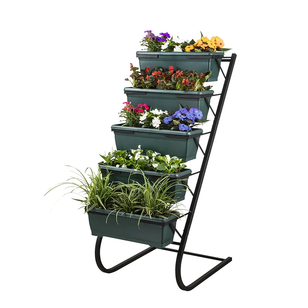 Wellhome Plant Display