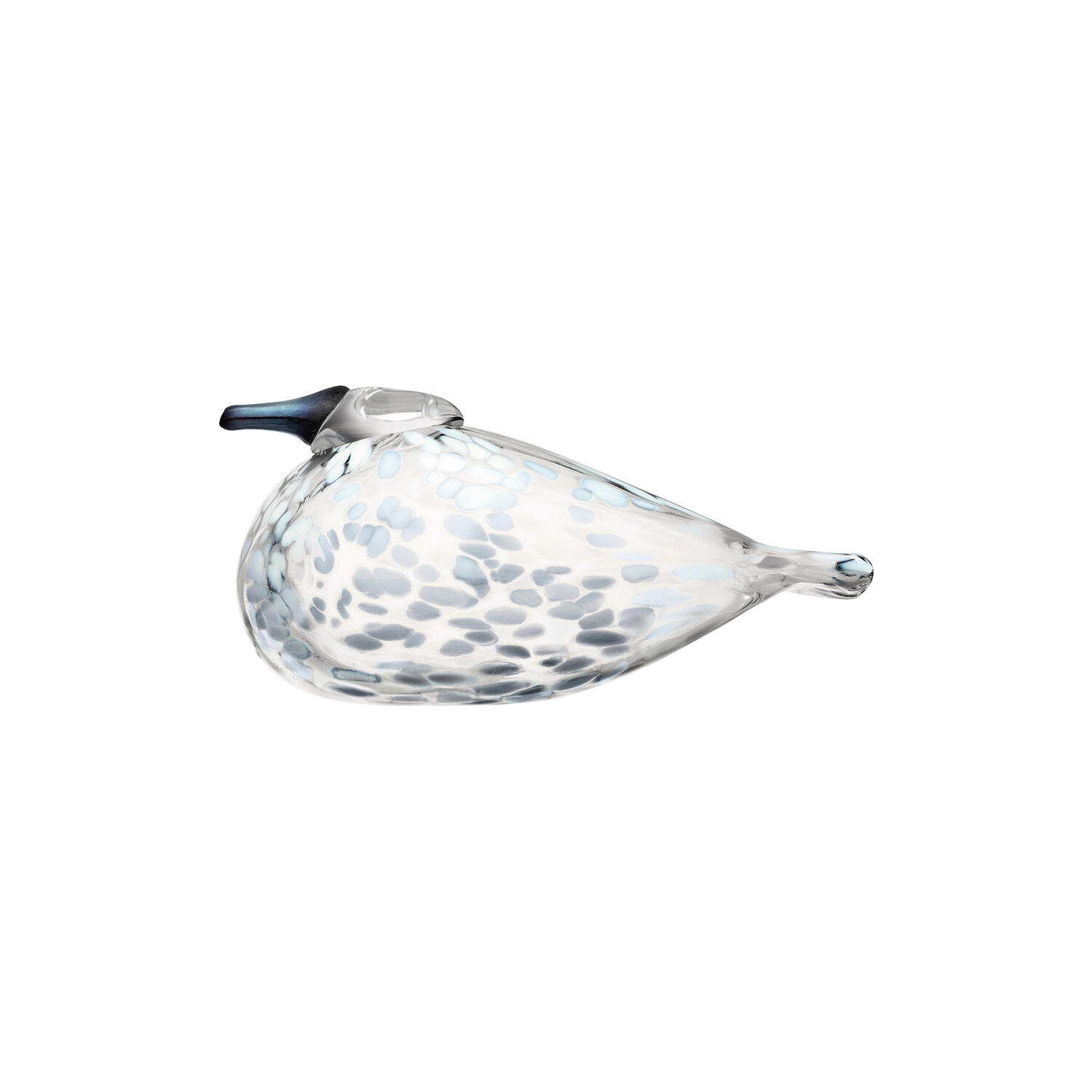 BBT Snow Finch
