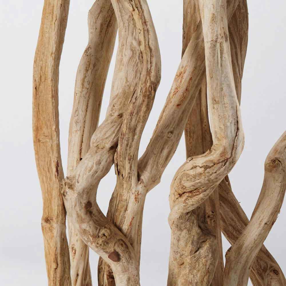 Bahamas - Paravent en branchage