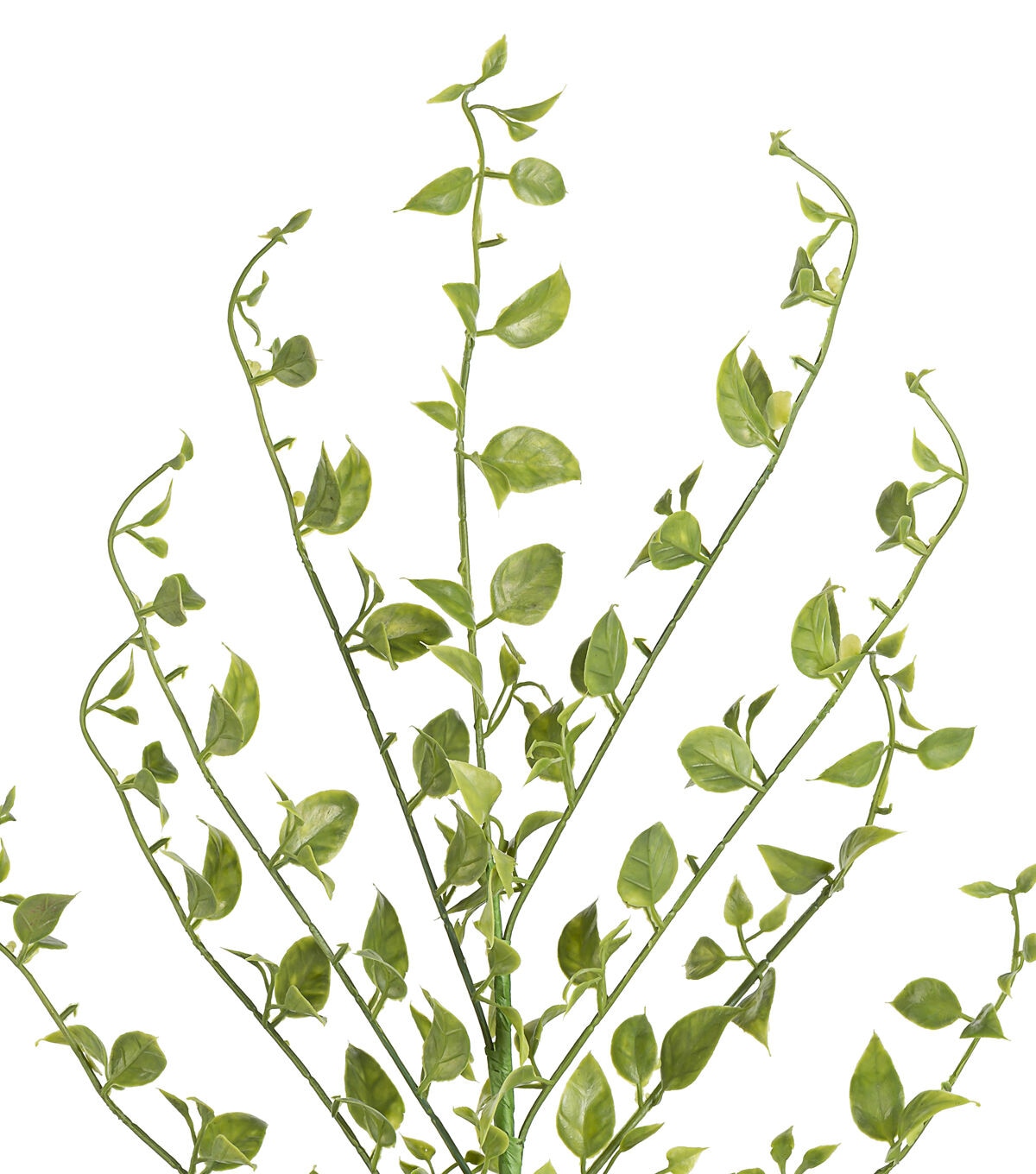 34 Light Green Leaf Stem by Bloom Room