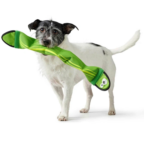 Hundespielzeug, grün