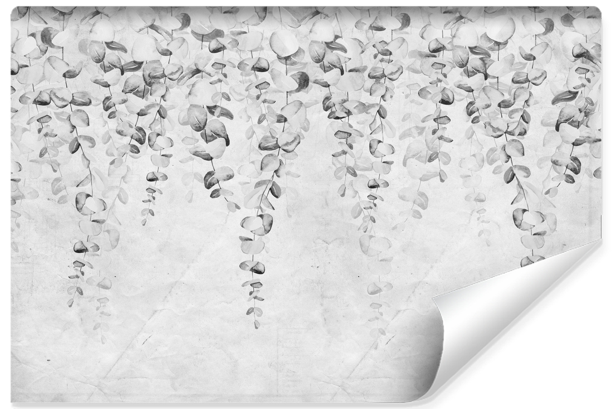 Fototapeta Delikatne Czarne Liście Na Betonie 90x60cm