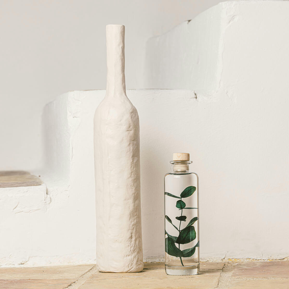 HERBARIUM DE THEOPHILE - Plante immergée Eucalyptus