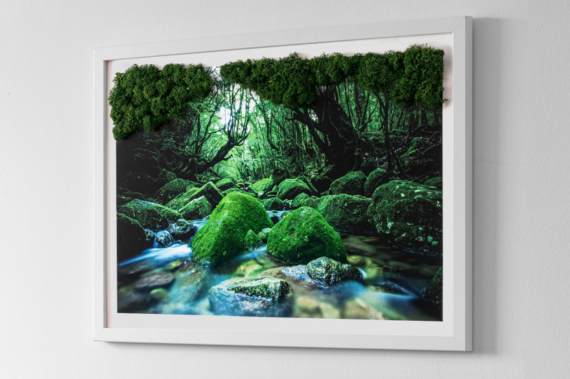 Obraz z mchem - Rzeka w środku lasu 60x40 cm Biała Rama