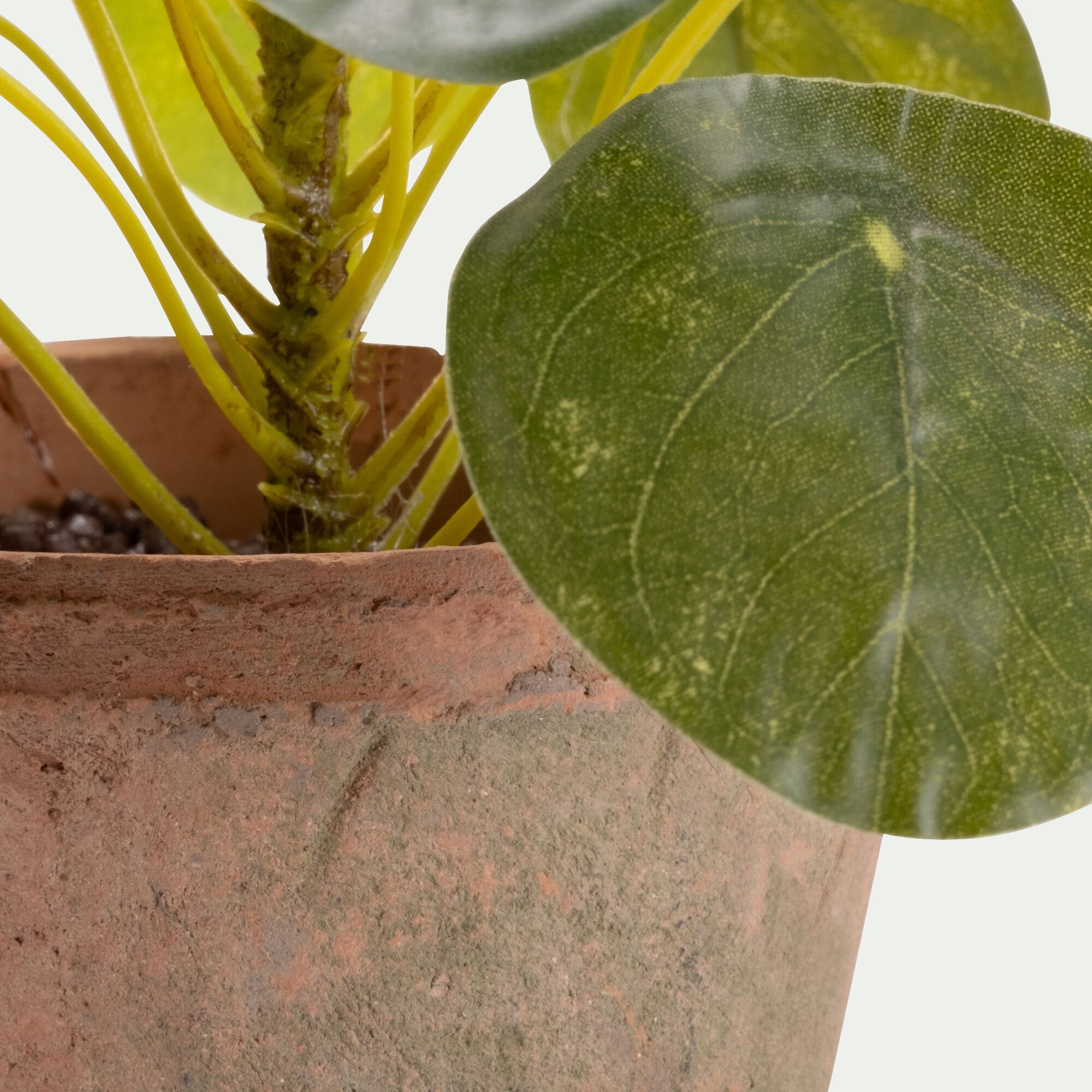 MAUNE - Pilea artificiel en pot H13cm - vert