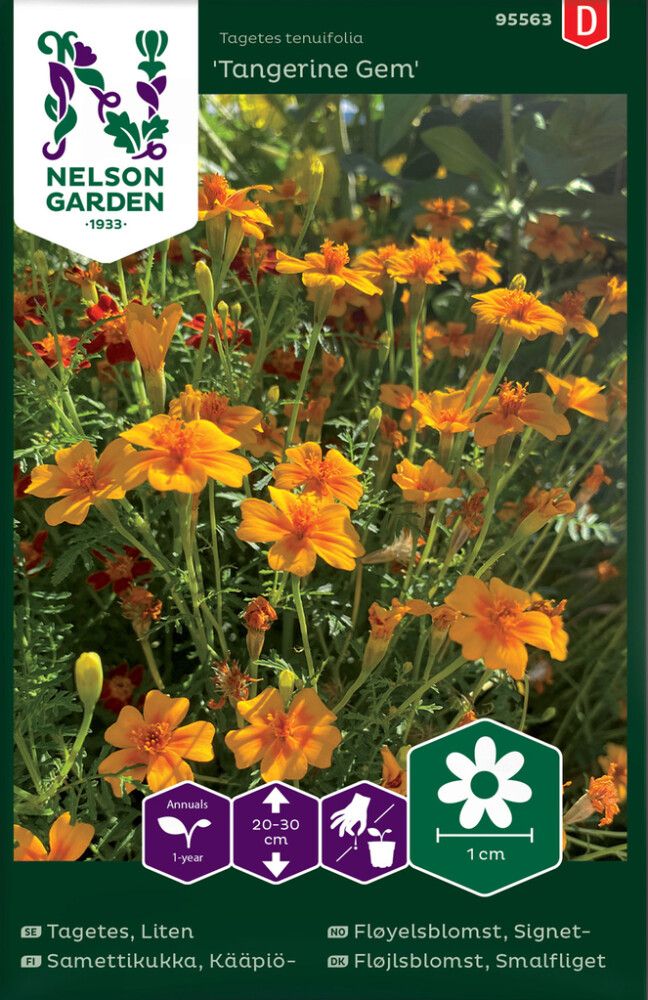 BLOMSTERFRØ NELSON GARDEN SIGNETFLØYELSBLOMST TANGERINE GEM