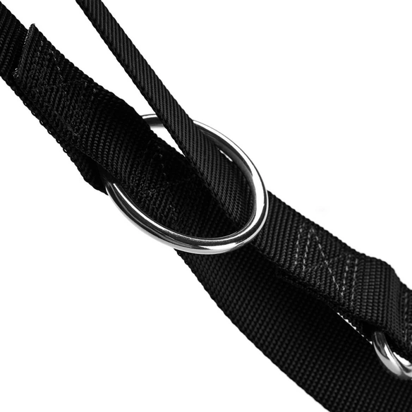 Führleine »London«, Gr. 200 cm, schwarz