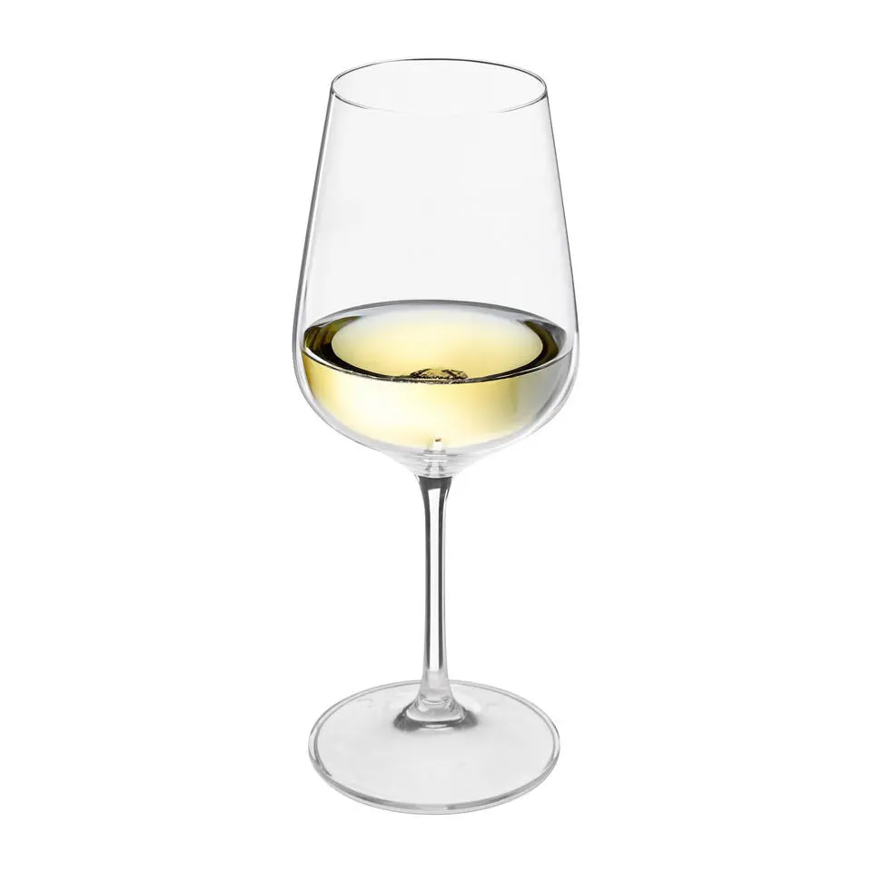 Secret de Gourmet Wijnglazen set Lena - doosje 6x stuks - 45 CL