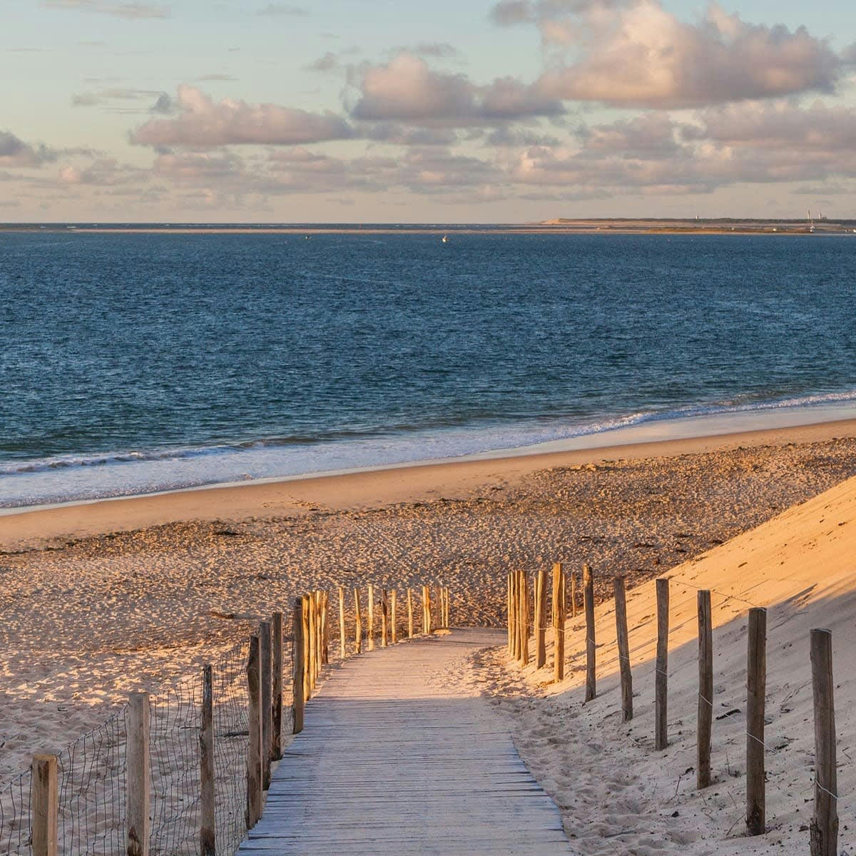 PLAGE - Tableau sur toile chemin d'Arcachon 30x30 cm