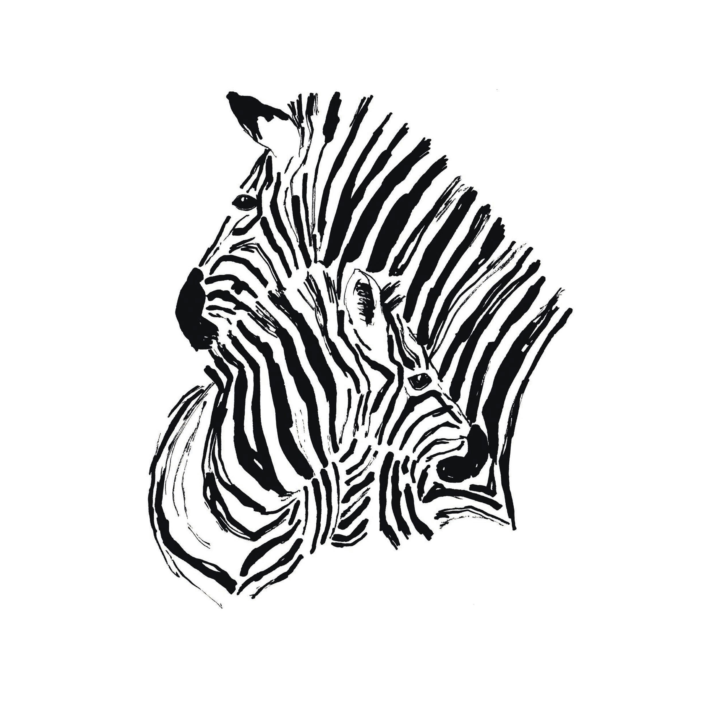 2 ZÈBRES - Poster en papier noir et blanc 50x70 cm