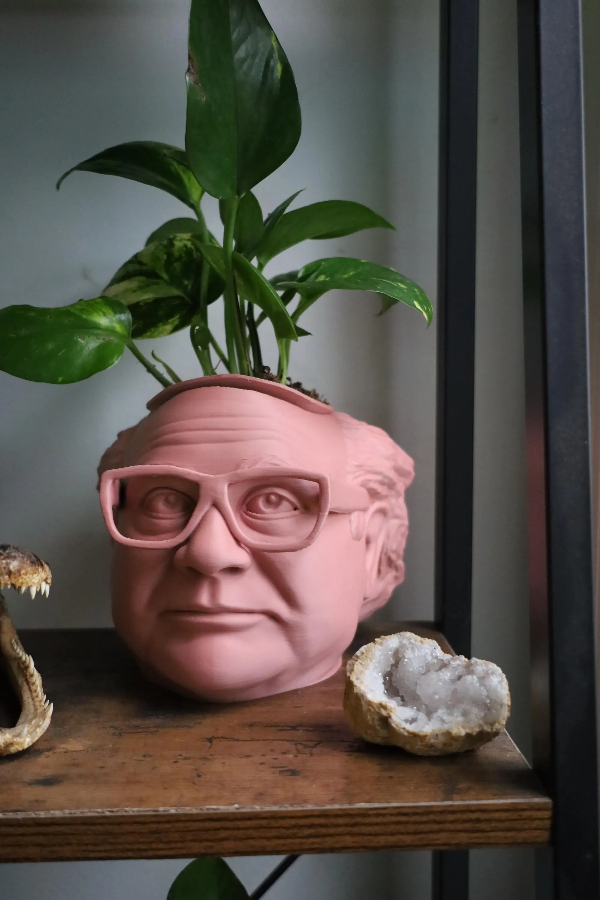The Original Danny DeVito Frank Reynolds Head Planter For House Plants and Succulents