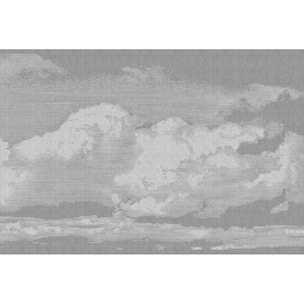 Papier peint panoramique XL NUBE 400 x 270 cm gris perle