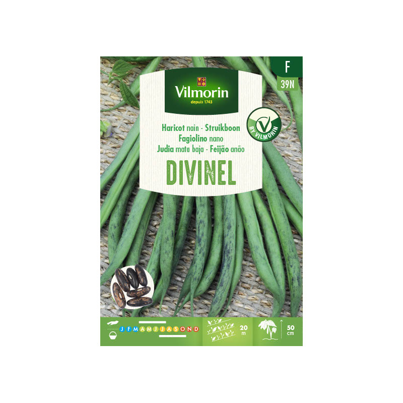Semences de haricot nain Divinel 100 g VILMORIN