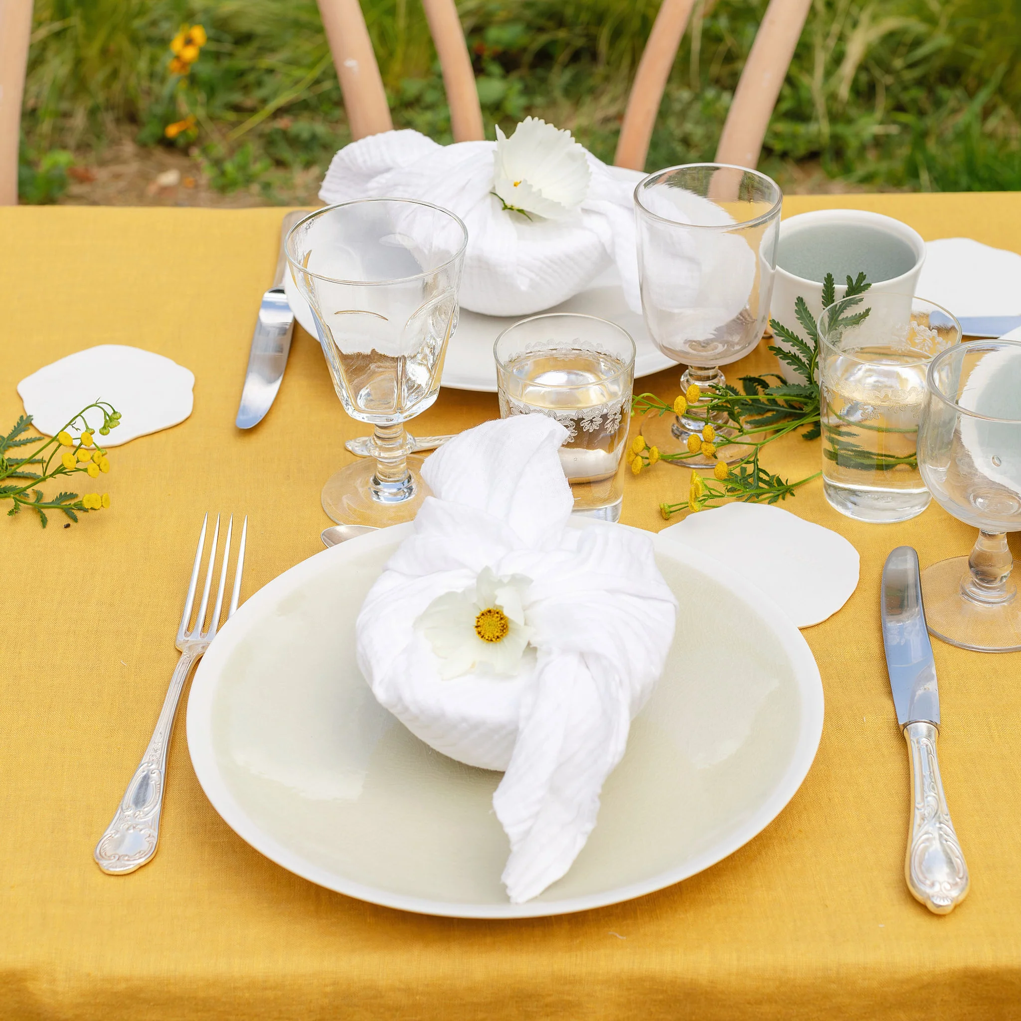 assiette plate sauge