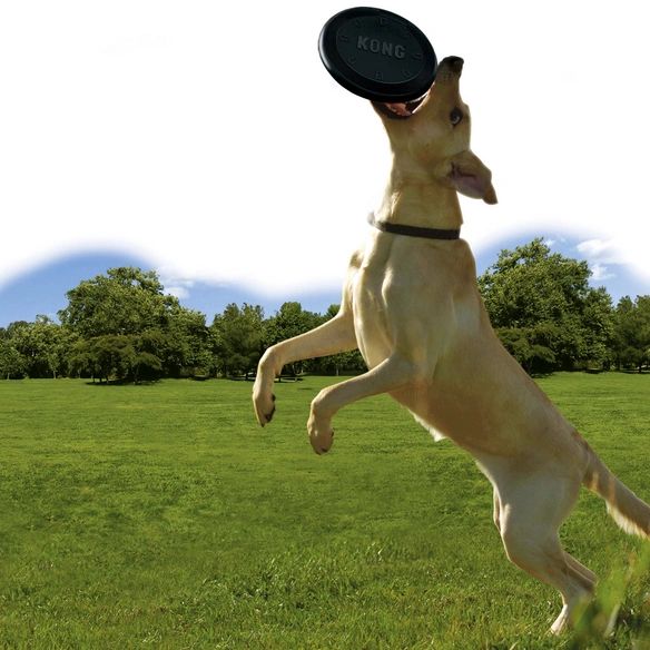 Hundespielzeug, mehrfarbig