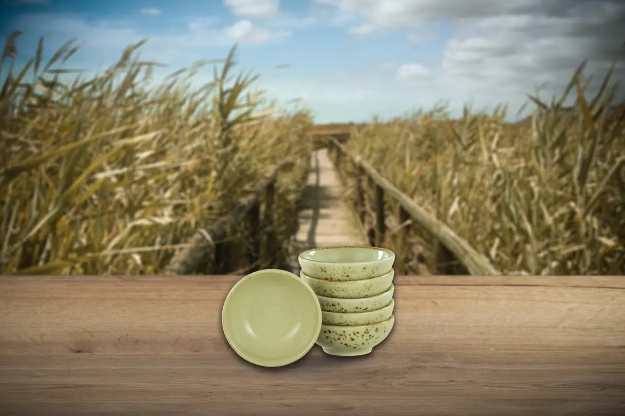 Schale 6er-Set Nature Collection