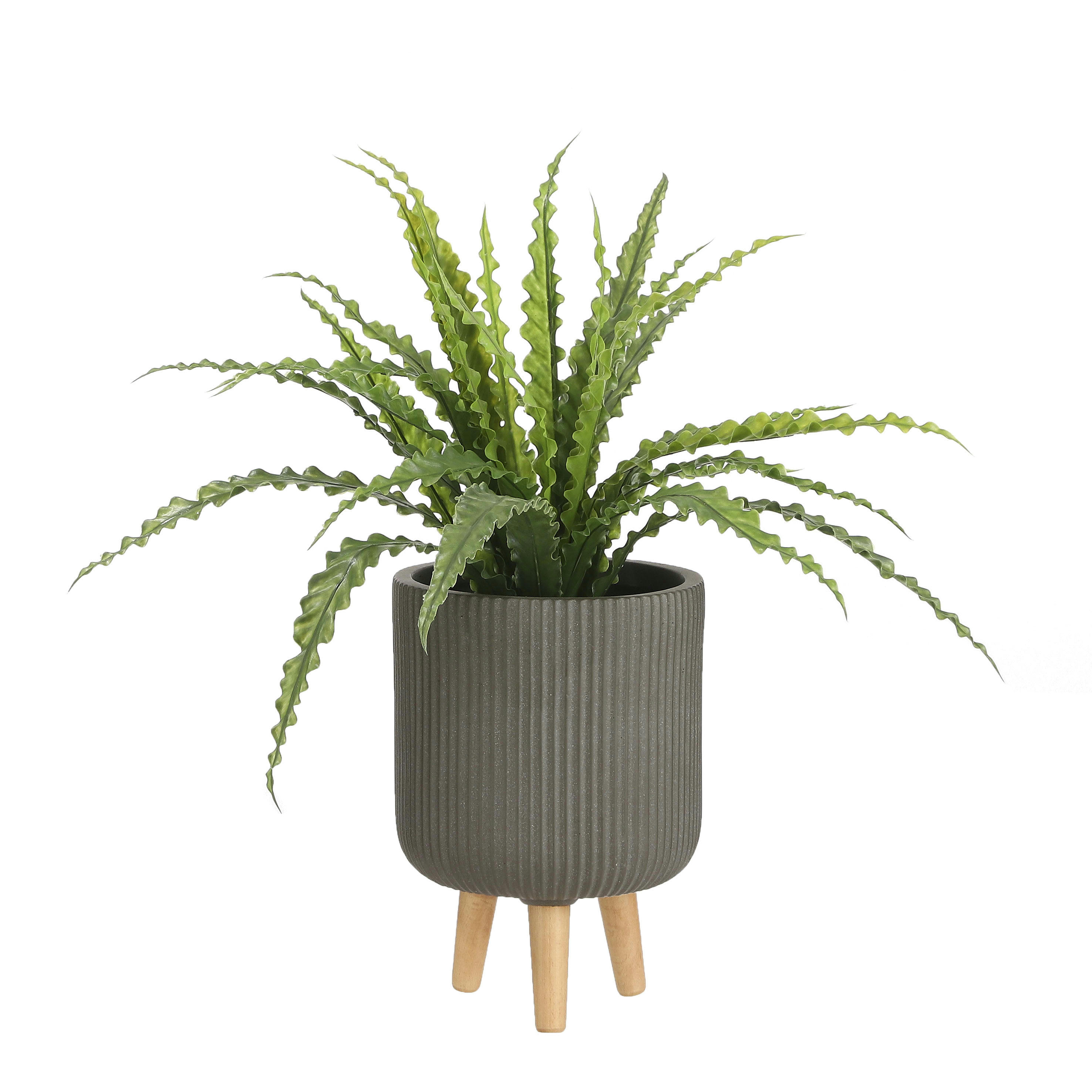 - Asplenium artificielle en pot H50