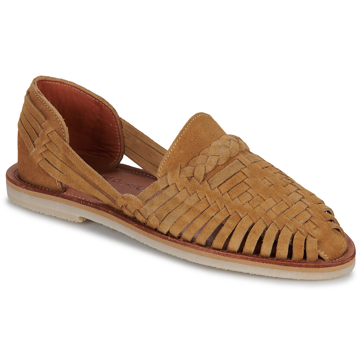 Mapache - ALEGRE - Camel
